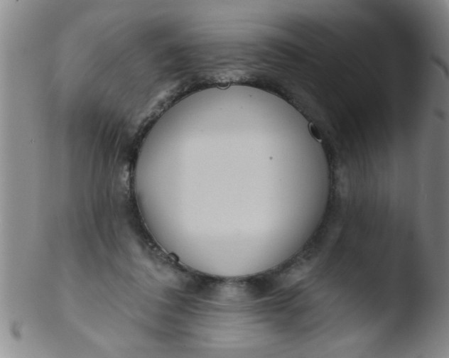 X0000103490308200809261956