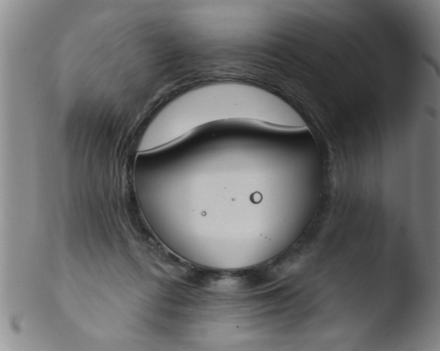 X0000103490312200809261956