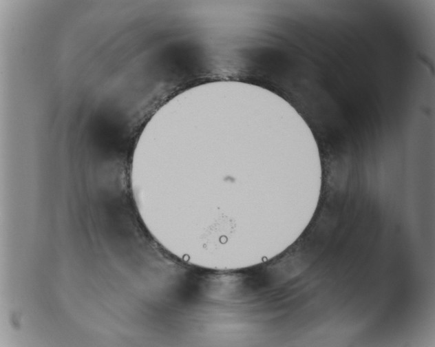 X0000103490313200809261956