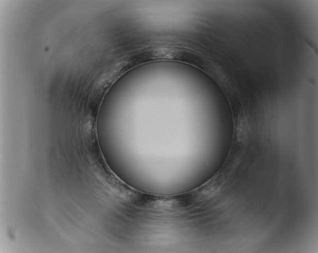 X0000103490314200809261956