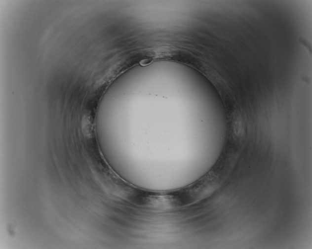 X0000103490316200809261956