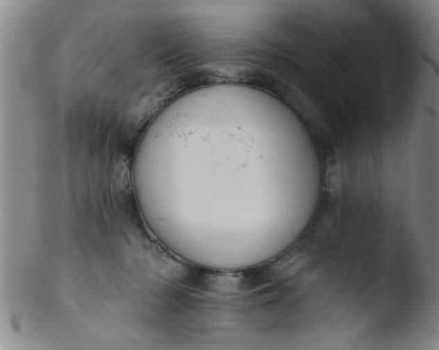 X0000103490318200809261956