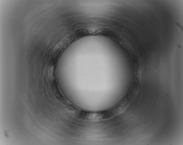 X0000103490319200809261956