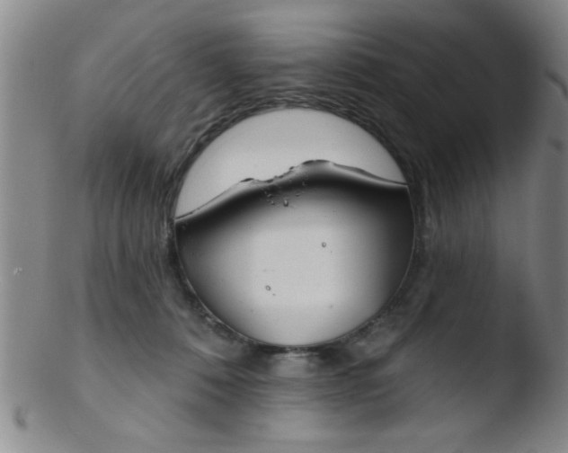 X0000103490320200809261956