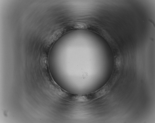 X0000103490322200809261956