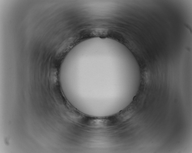 X0000103490323200809261956