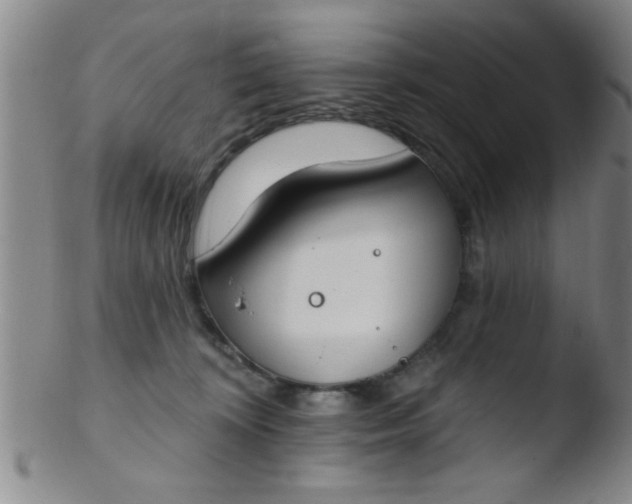 X0000103490324200809261956