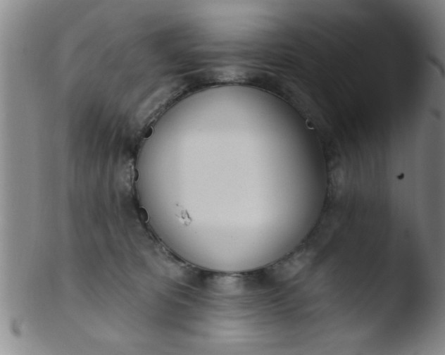 X0000103490325200809261956