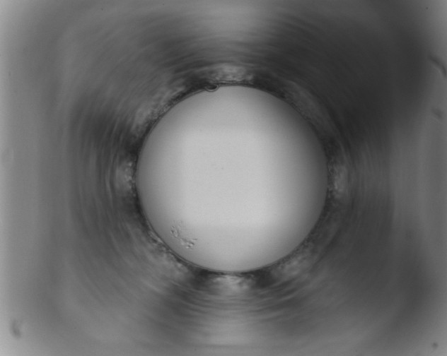 X0000103490326200809261956