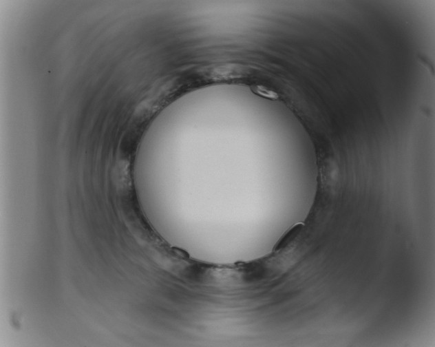 X0000103490327200809261956