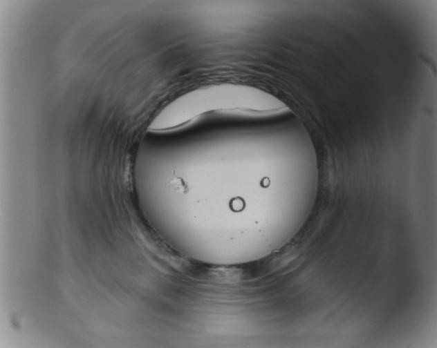 X0000103490328200809261956