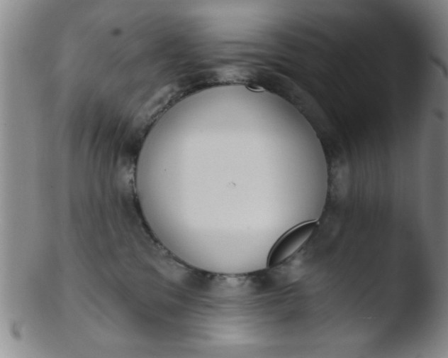 X0000103490329200809261956