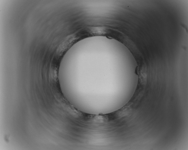 X0000103490330200809261956