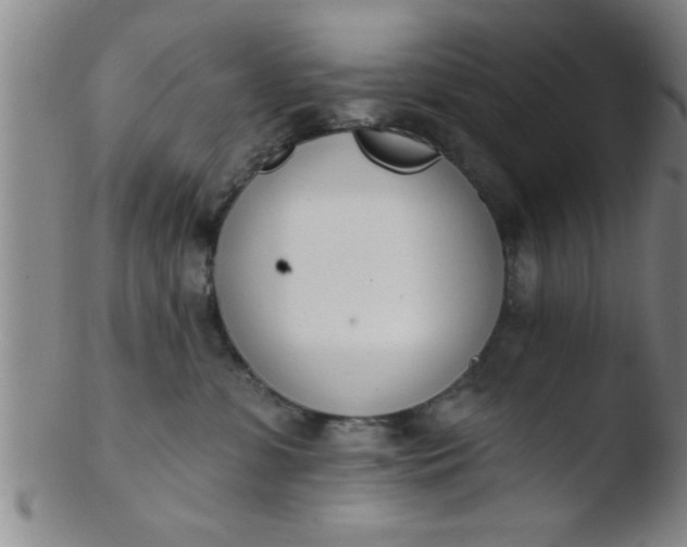 X0000103490331200809261956