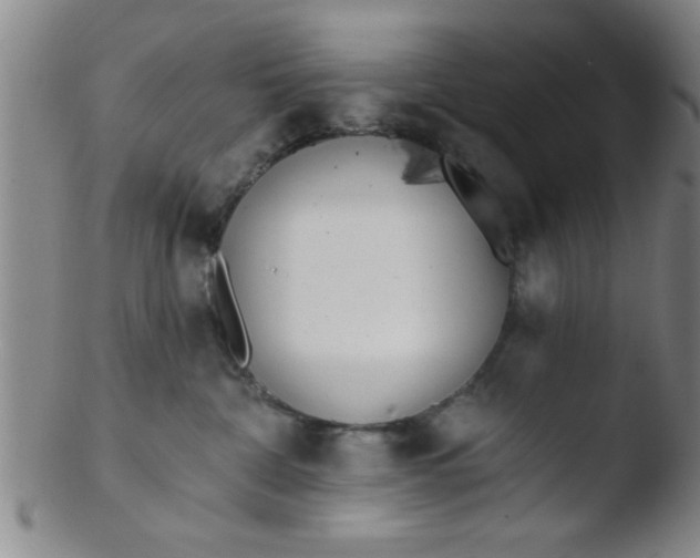 X0000103490332200809261956