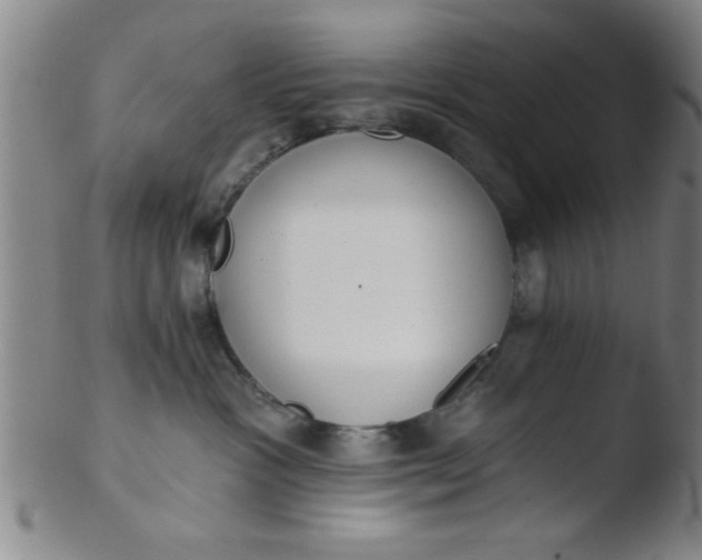 X0000103490333200809261956