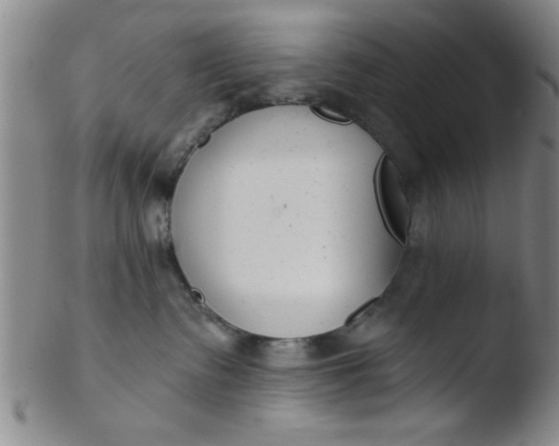 X0000103490335200809261956