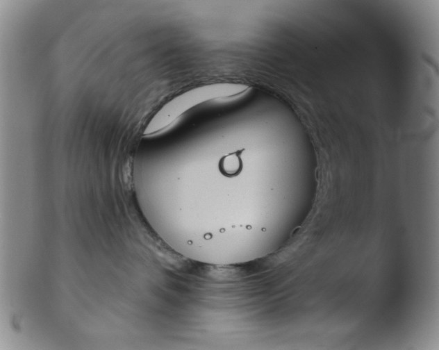 X0000103490336200809261956