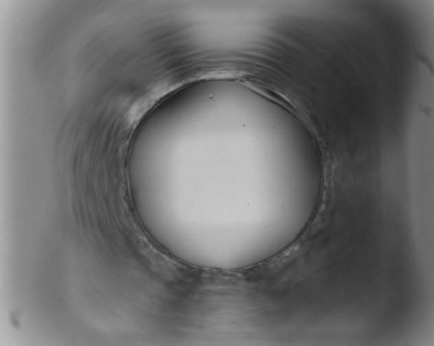 X0000103490337200809261955