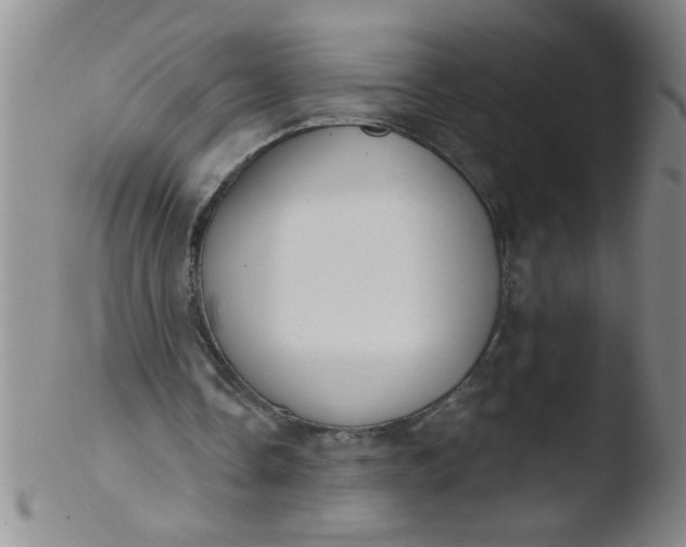 X0000103490338200809261955