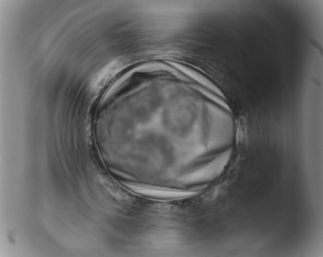 X0000103490339200809261955