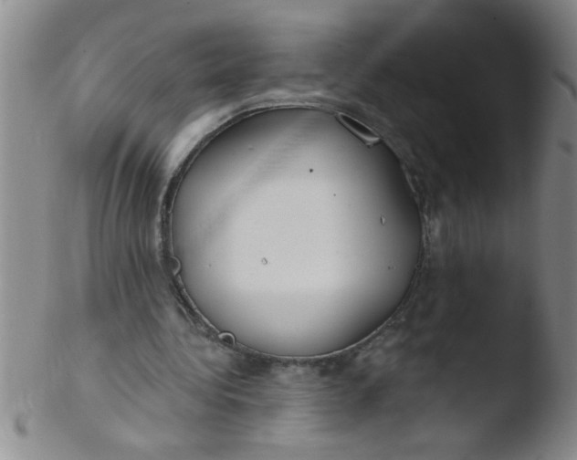 X0000103490340200809261955