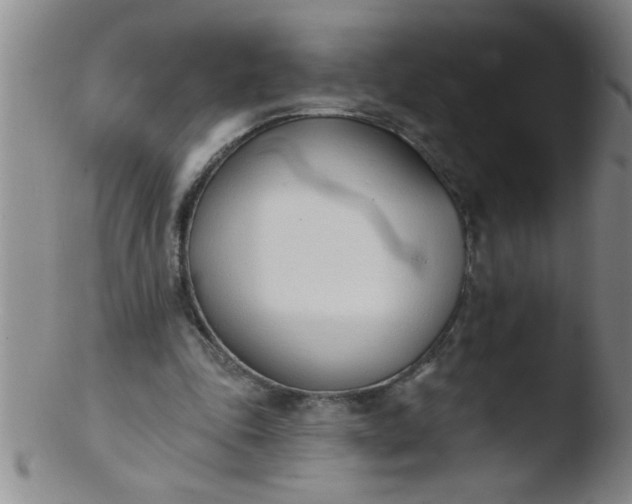 X0000103490343200809261955