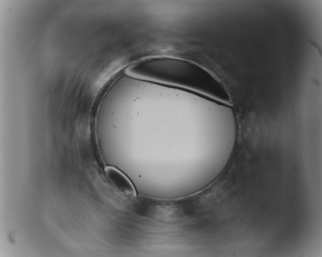 X0000103490344200809261955