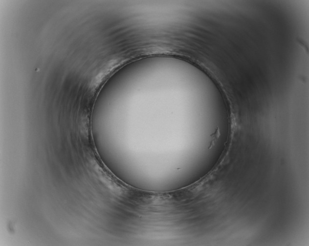 X0000103490345200809261955