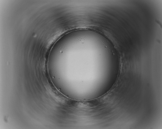 X0000103490346200809261955