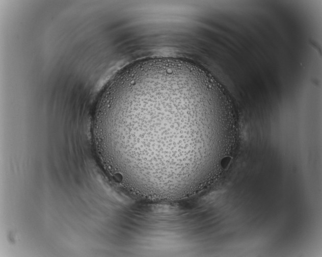 X0000103490347200809261955