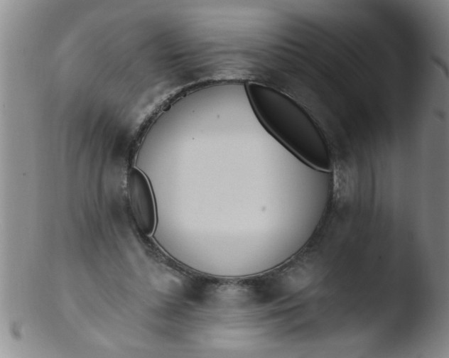 X0000103490348200809261955