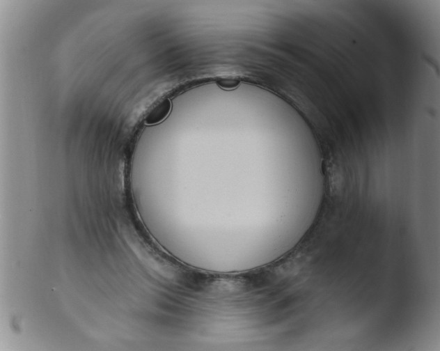 X0000103490350200809261955