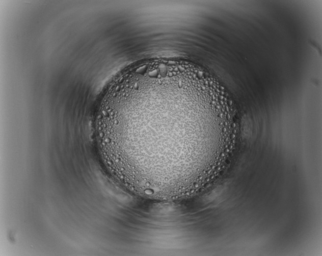 X0000103490351200809261955