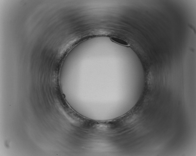 X0000103490352200809261955