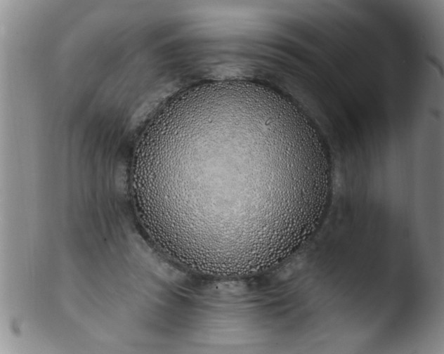 X0000103490353200809261955