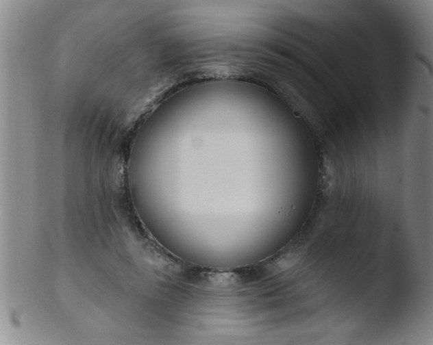 X0000103490355200809261955