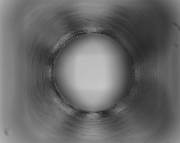 X0000103490357200809261955