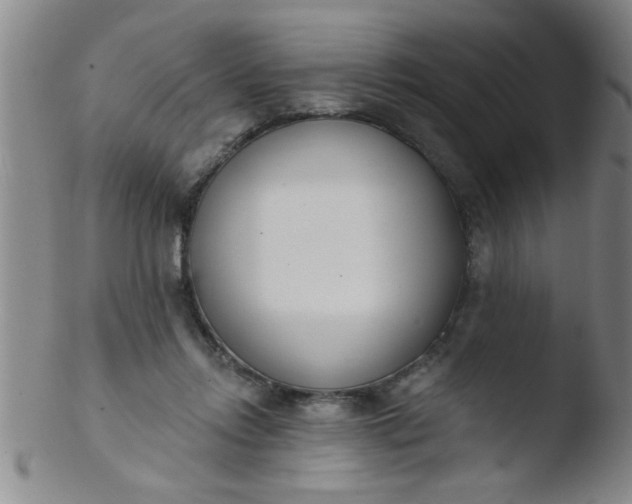 X0000103490358200809261955