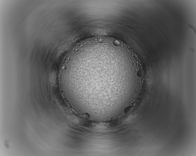 X0000103490359200809261955