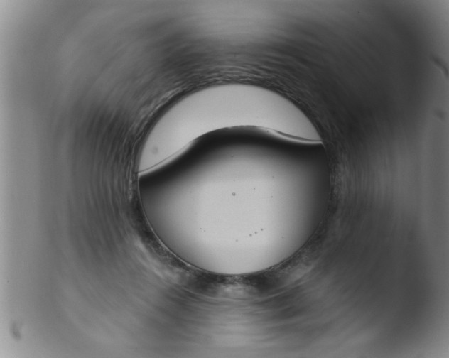 X0000103490360200809261955