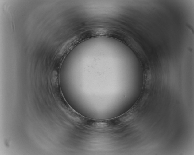 X0000103490361200809261955