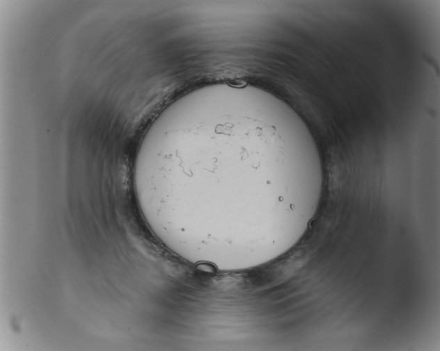 X0000103490362200809261955