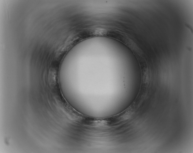 X0000103490363200809261955