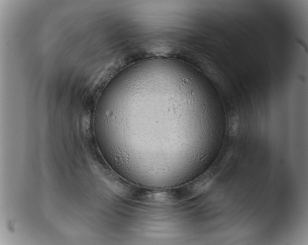 X0000103490365200809261955