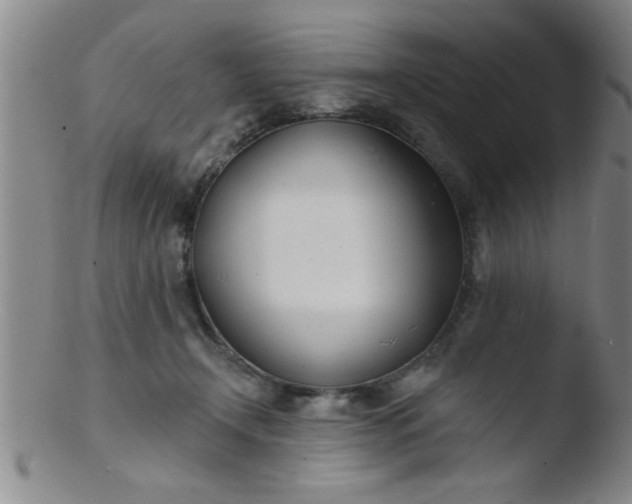 X0000103490366200809261955