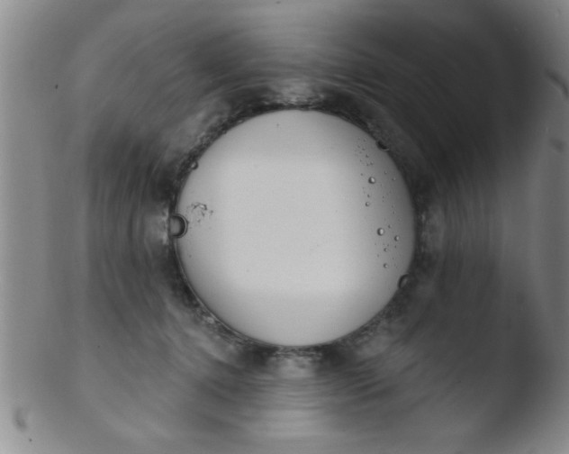 X0000103490368200809261956