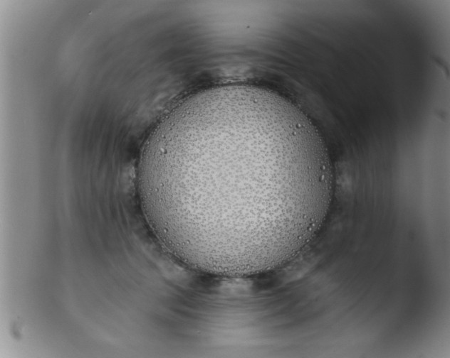 X0000103490369200809261956