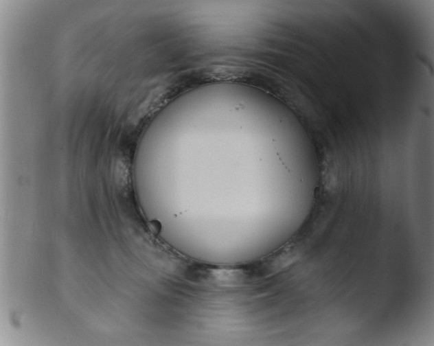 X0000103490371200809261956