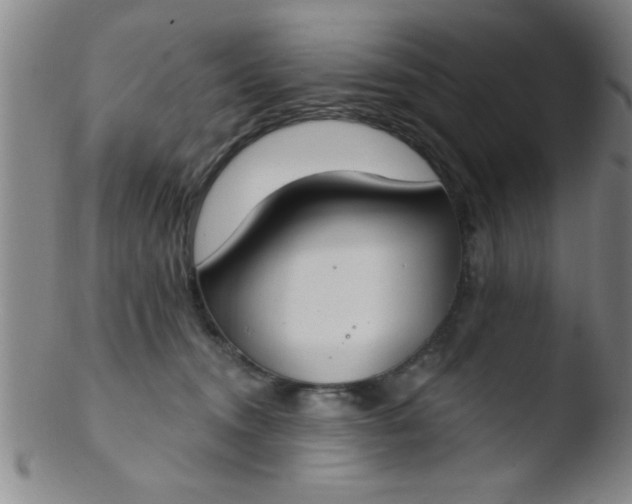 X0000103490372200809261956